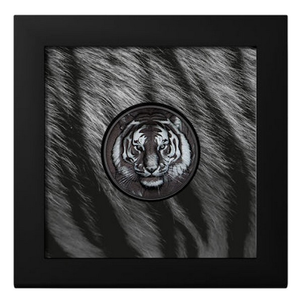 TYGR coin Black and White Tiger coloured – 1 oz stříbrná mince