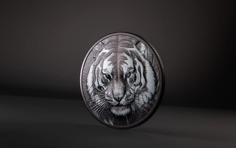 TYGR coin Black and White Tiger coloured – 1 oz stříbrná mince