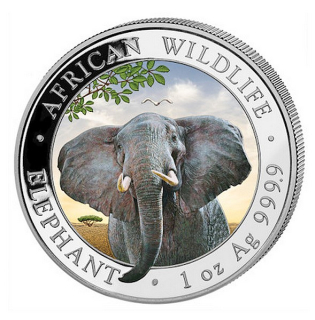 AFRICKÝ SLON 2021 coin African Wildlife Somalia Elephant – 1 oz stříbrná mince barevná