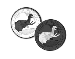 AFRICKÝ SLON ČERNÁ A BÍLÁ 2023 coin African Wildlife Elephant Black and White – sada 2 stříbrných mincí (2×1 oz)