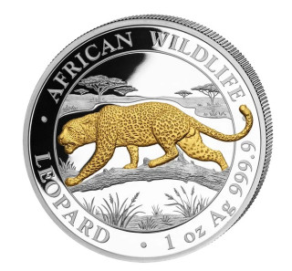 AFRICKÁ DIVOKÁ ZVĚŘ LEOPARD 2026 coin African Wildlife Somalia Leopard gilded – 1 oz stříbrná mince pozlacená