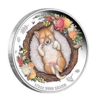 SNĚNÍ U PROTINOŽCŮ PES DINGO coin Dreaming Down Under Dingo - 1/2 oz stříbrná mince