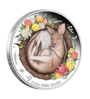 SNĚNÍ U PROTINOŽCŮ KLOKAN coin Dreaming Down Under Kangaroo - 1/2 oz stříbrná mince