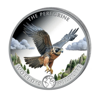 SVĚTOVÁ DIVOKÁ ZVĚŘ SOKOL STĚHOVAVÝ coin World‘s Wildlife The Pelegrine coloured – 1 oz stříbrná mince barevná